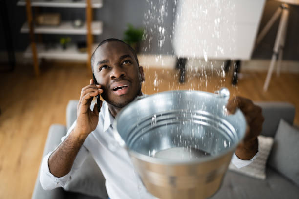 Best Flood damage cleanup  in Fulton, IL