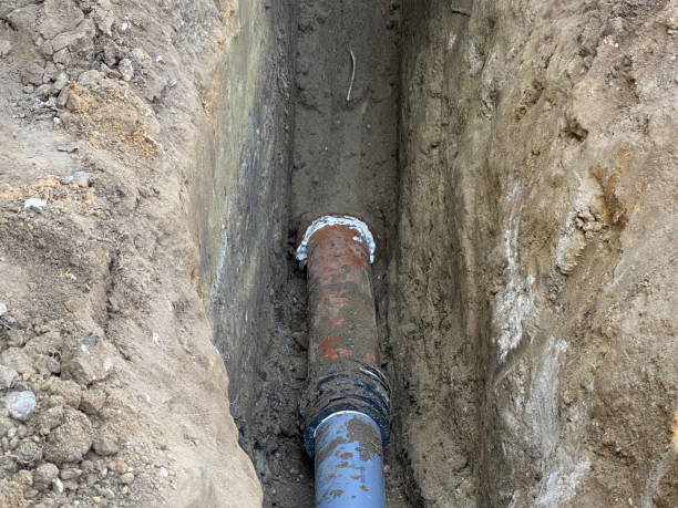 Best Basement water damage restoration  in Fulton, IL