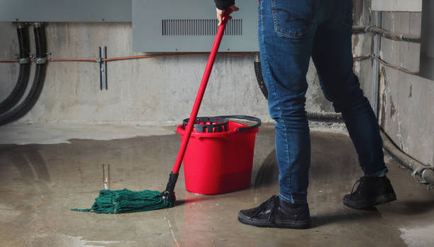 Best Residential water damage restoration  in Fulton, IL