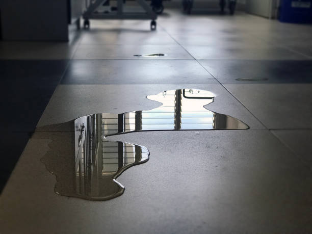Best Water damage restoration company  in Fulton, IL