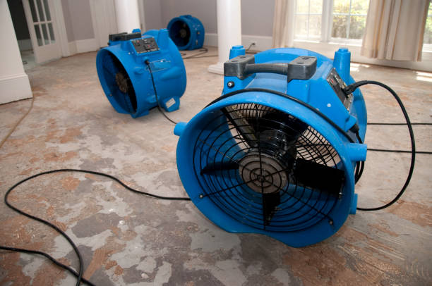 Best Mold removal after water damage  in Fulton, IL