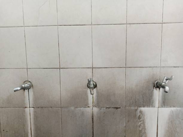 Best Ceiling water damage repair  in Fulton, IL