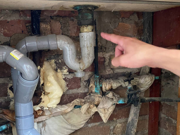 Best 24-hour water damage restoration  in Fulton, IL