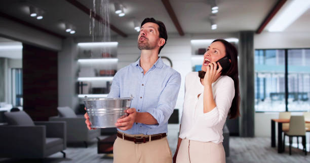 Reliable Fulton, IL Water damage restoration Solutions